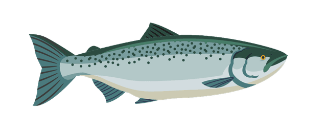 Binnenlachs
